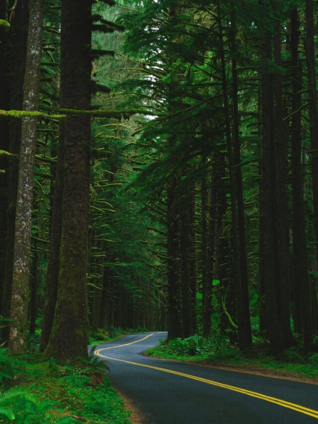 Best Roadtrips from Dallas !