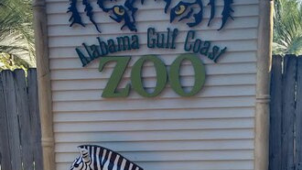  alabama gulf coast zoo
