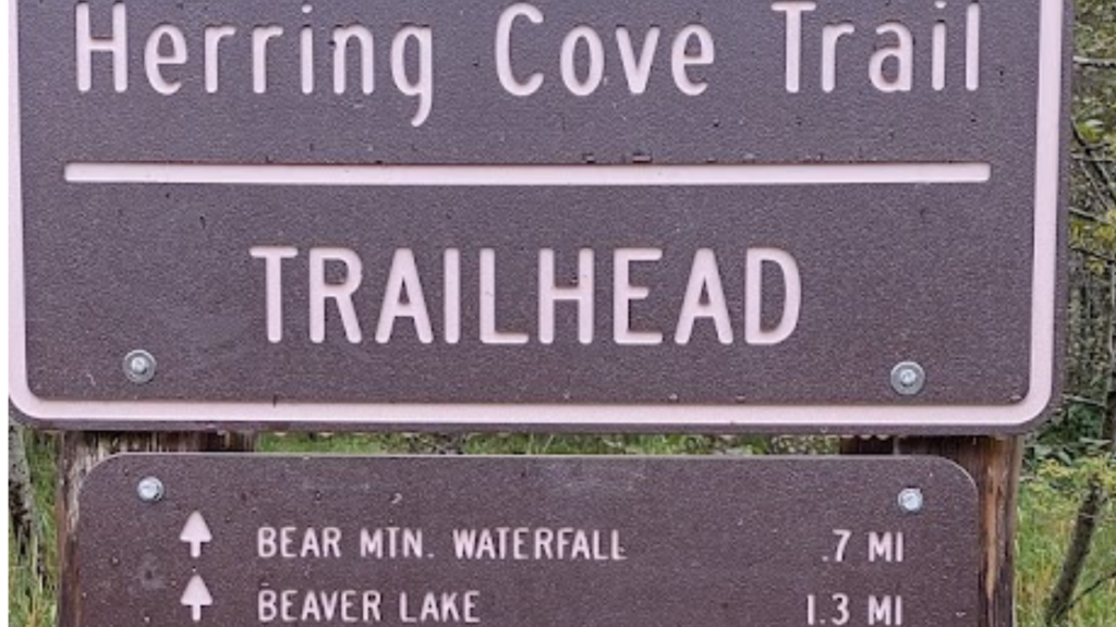 cove trail